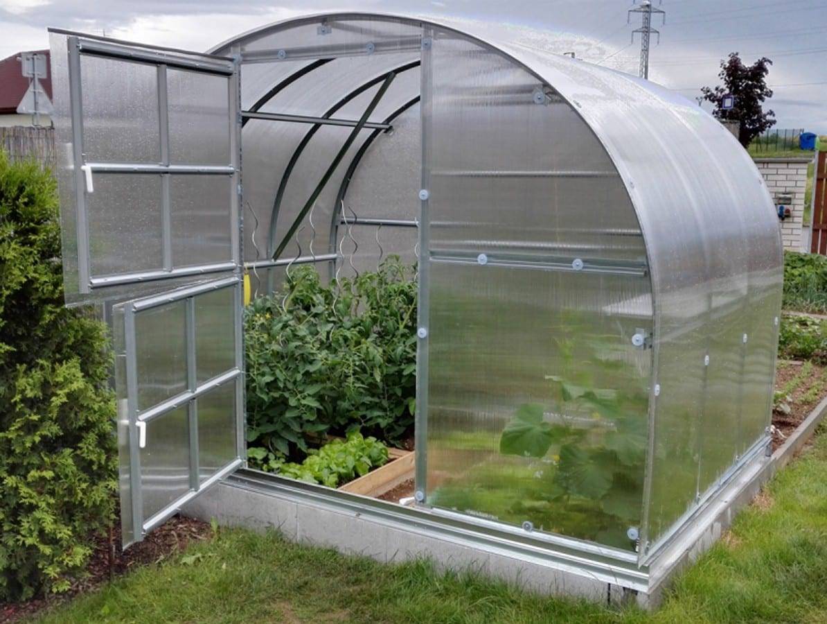 Klasika Tunnelväxthus 6 - 36 m² Baumera 24 m² 6 mm polykarbonat