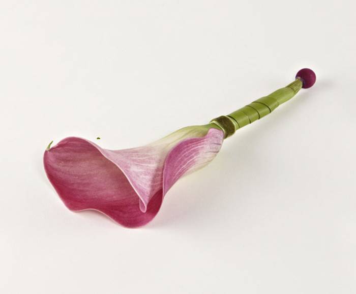 Knaphulsblomst med calla