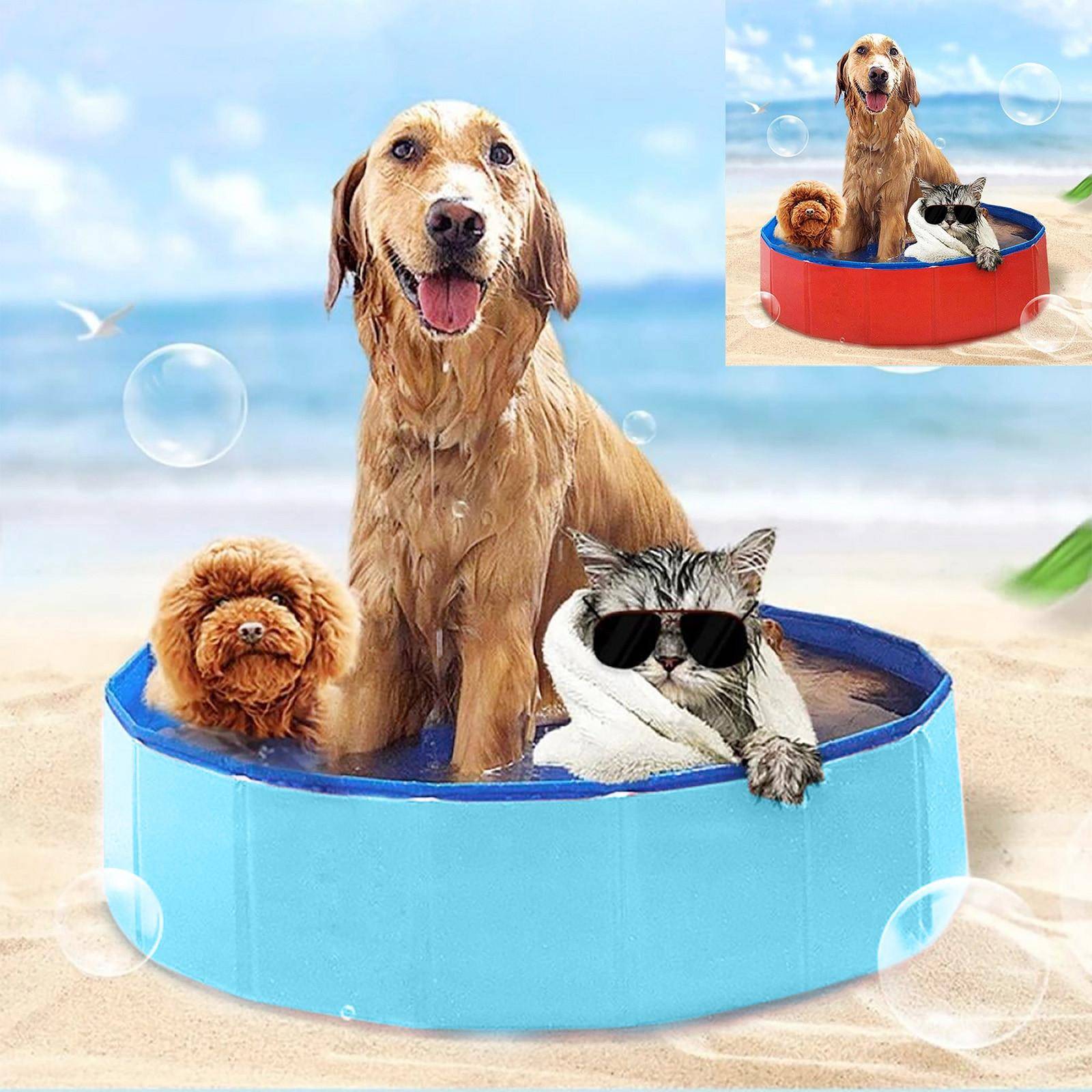 Vikbar husdjurspool, Hundpool, Kimchi-pool, Barnpool blå