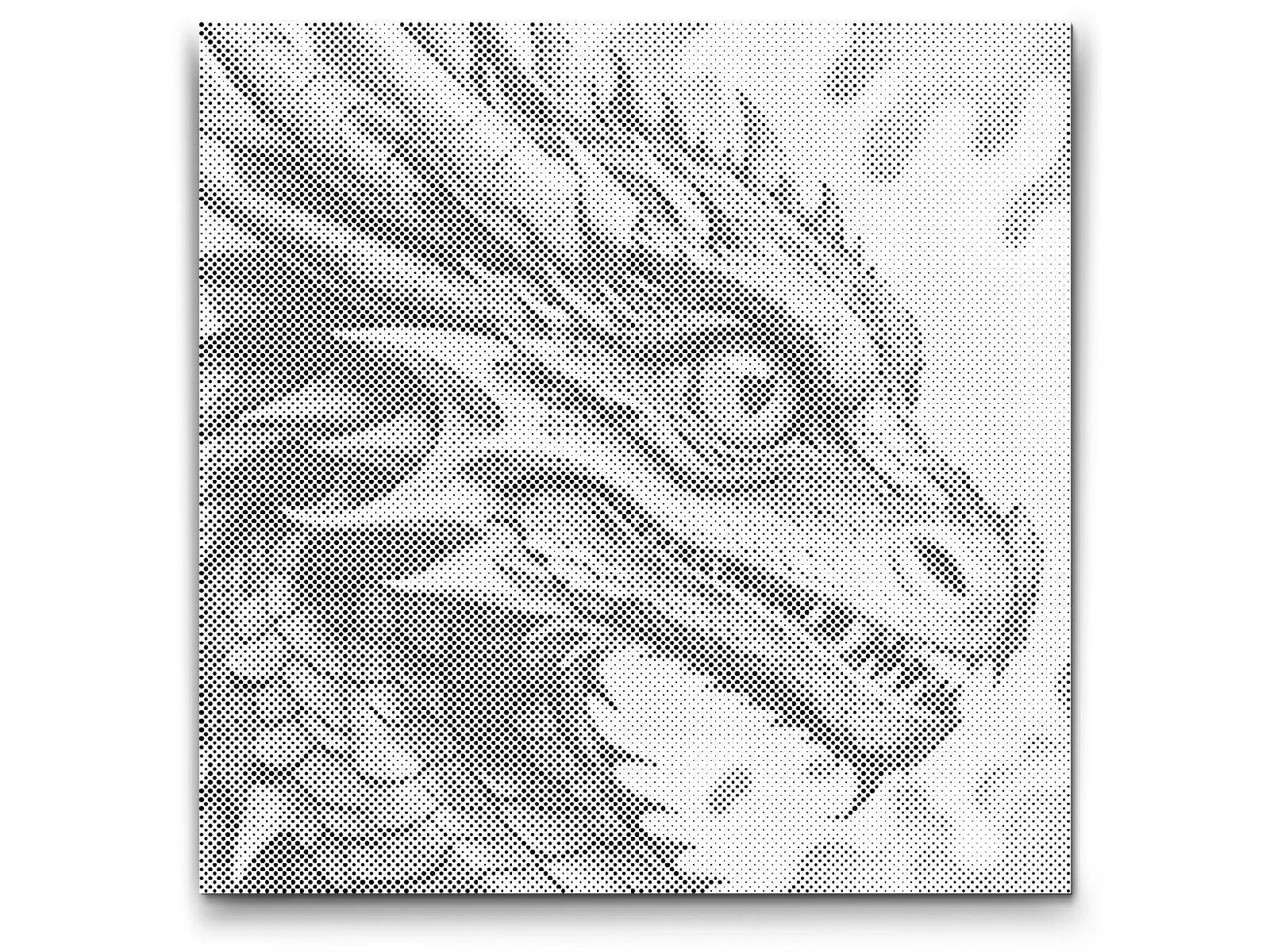 DRAKE | PRICKMÅLNING - 80x80cm (32'' x 32'') / Duk - Utan ram