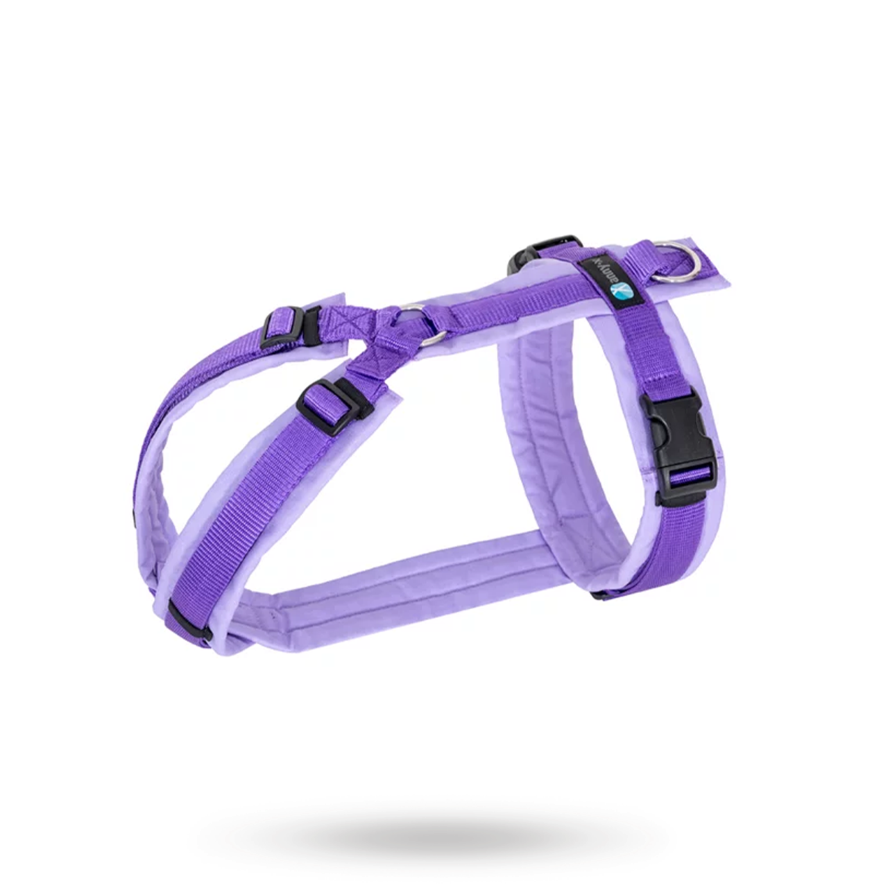 Anny-X Fun Hundsele Lavender (xs)