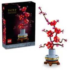 Japansk abrikostræ - 10369