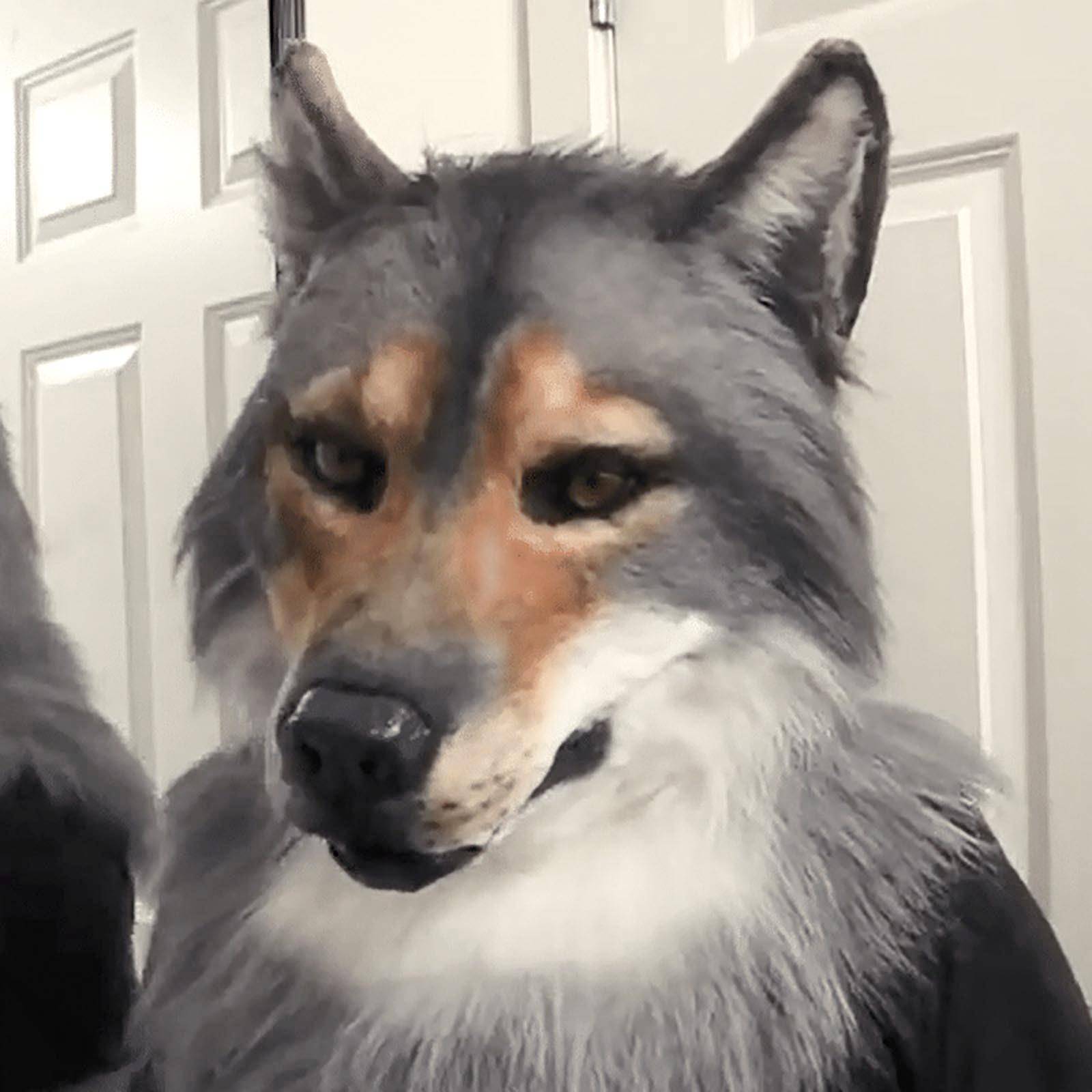 Huvudbonad Kostym Mask Wolf Headwear Kostym Mask Wolf Mask svart