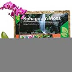 2 Sphagnummossa för växter,Torkad mossa Naturlig köttätande växt Mossa | Orchid Sphagnum Moss Torkad för orkidéträdgårdsväxter, hjälper till att bibehålla fuktigheten Lecerrot