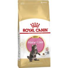 Royal Canin Kitten Maine Coon 10kg