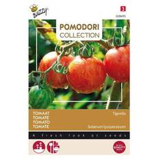 Pomodori Coll., Tomat, Tigerella, frø