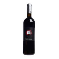 Ilary Cordin Valpolicella Ripasso Classico Superiore 2010