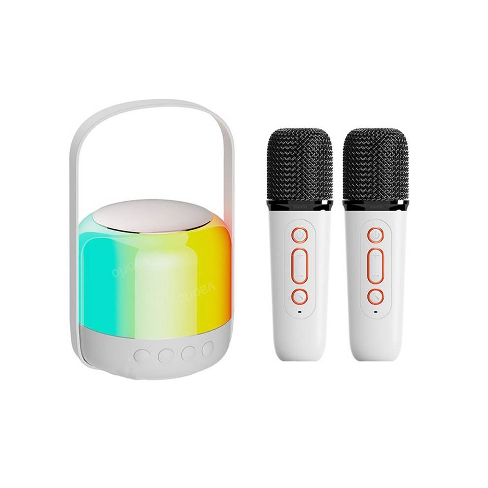 RGB Light 5.3 Speaker with Wireless Dual Microphones Karaoke Machine KTV DSP System 3D HIFI Stereo Surround