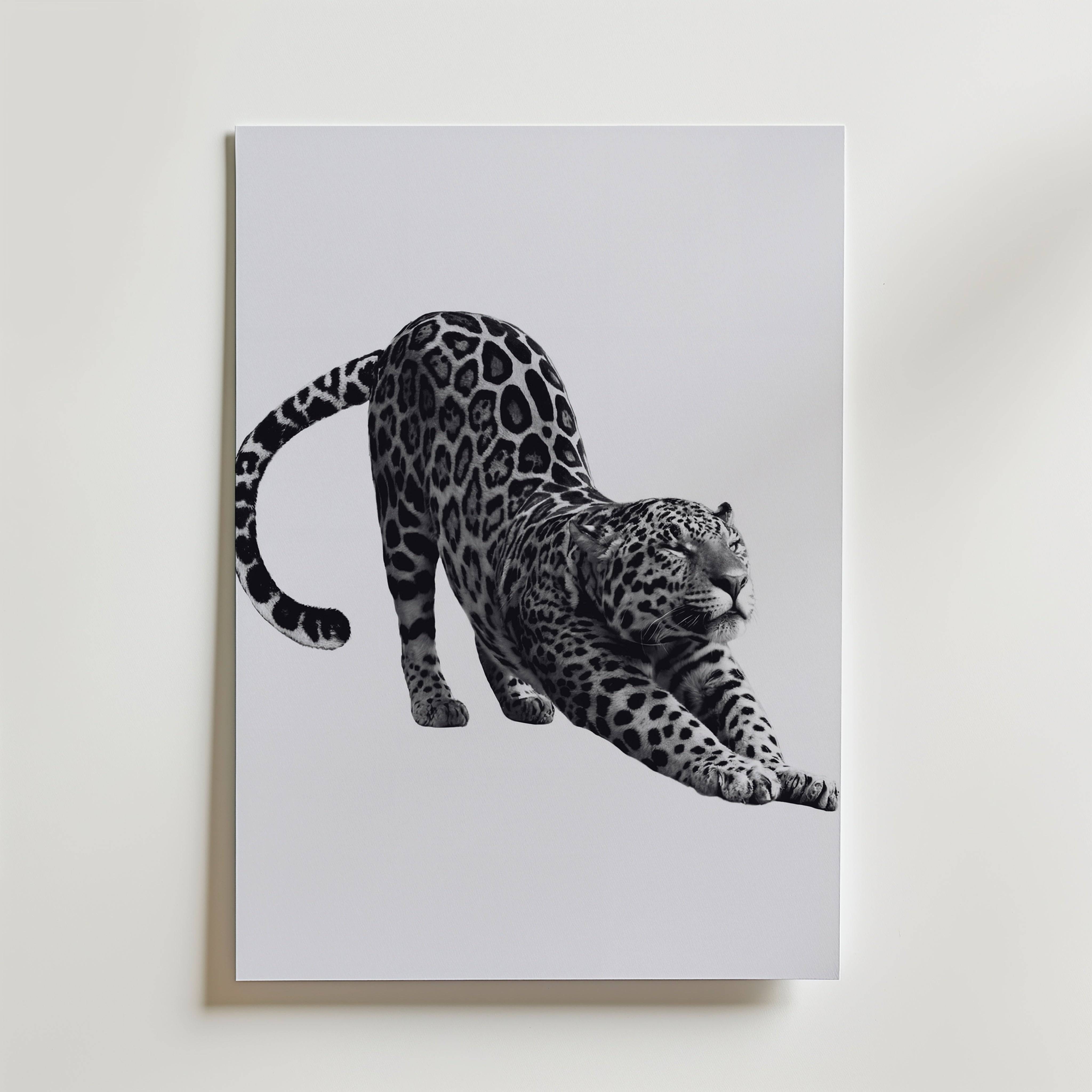 Stretching Leopard Poster - Fine Art Poster 13x18 cm Utan passepartout