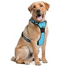 Dog Harness - Medium, Blue - Soft-Padded & Adjustable No-Pull Design Pet Harness w/ 2 Leash Clips & Reflective Strips for Safety - by EcoEarth