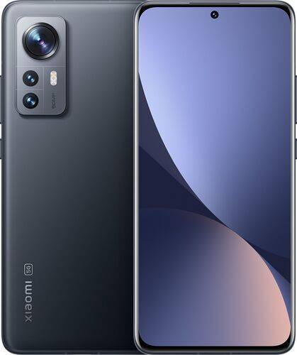 Xiaomi 12 Pro | 8 GB | 256 GB | Dual-SIM | grå