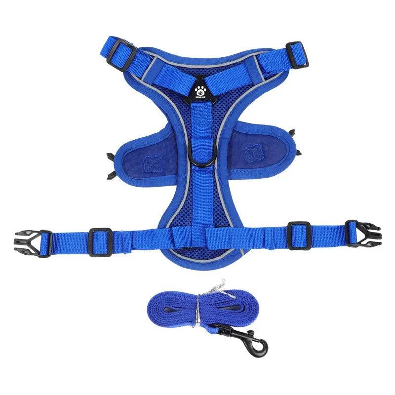 No-Pull Reflective Pet Harness and Leash Set - Blue / M (M)