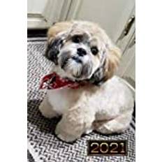 2021: Planner and Calendar. To Organize Work and Personal Life Weekly, Daily, Yearly. Great Gift Planner for Your Wife, Girlfriend, Friend, Mom, or Co-worker. Cute Little Dog with a Scarf