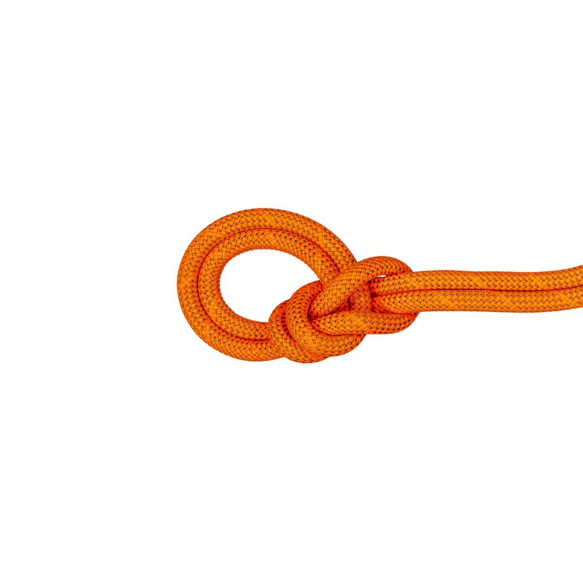 Mammut 9.8 Crag Dry Rope 60M Vibrant Orange-boa, 60 m