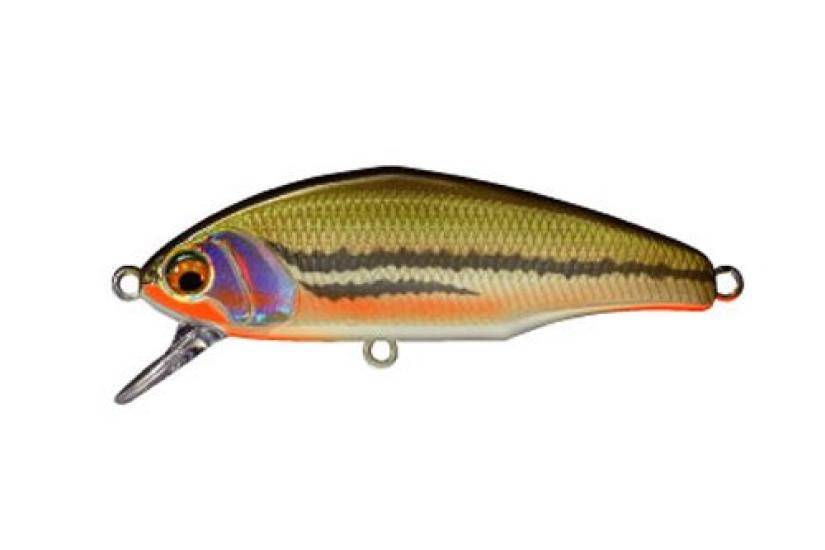 SMITH LTD Minnow 4g 44mm Dace D-Insight #12