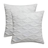 MIULEE Kuddfodral 2-pack ull prydnadskudde fodral dekorativt kuddöverdrag elegant med plysch hem för soffa sovrum vardagsrum 40 x 40 cm 16 x 16 tum vit
