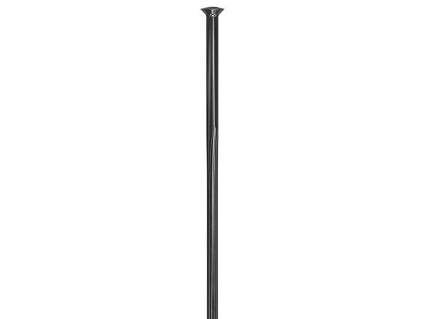 DT Swiss Revolite Straight Pull eker svart - Ekerlängd 286 mm