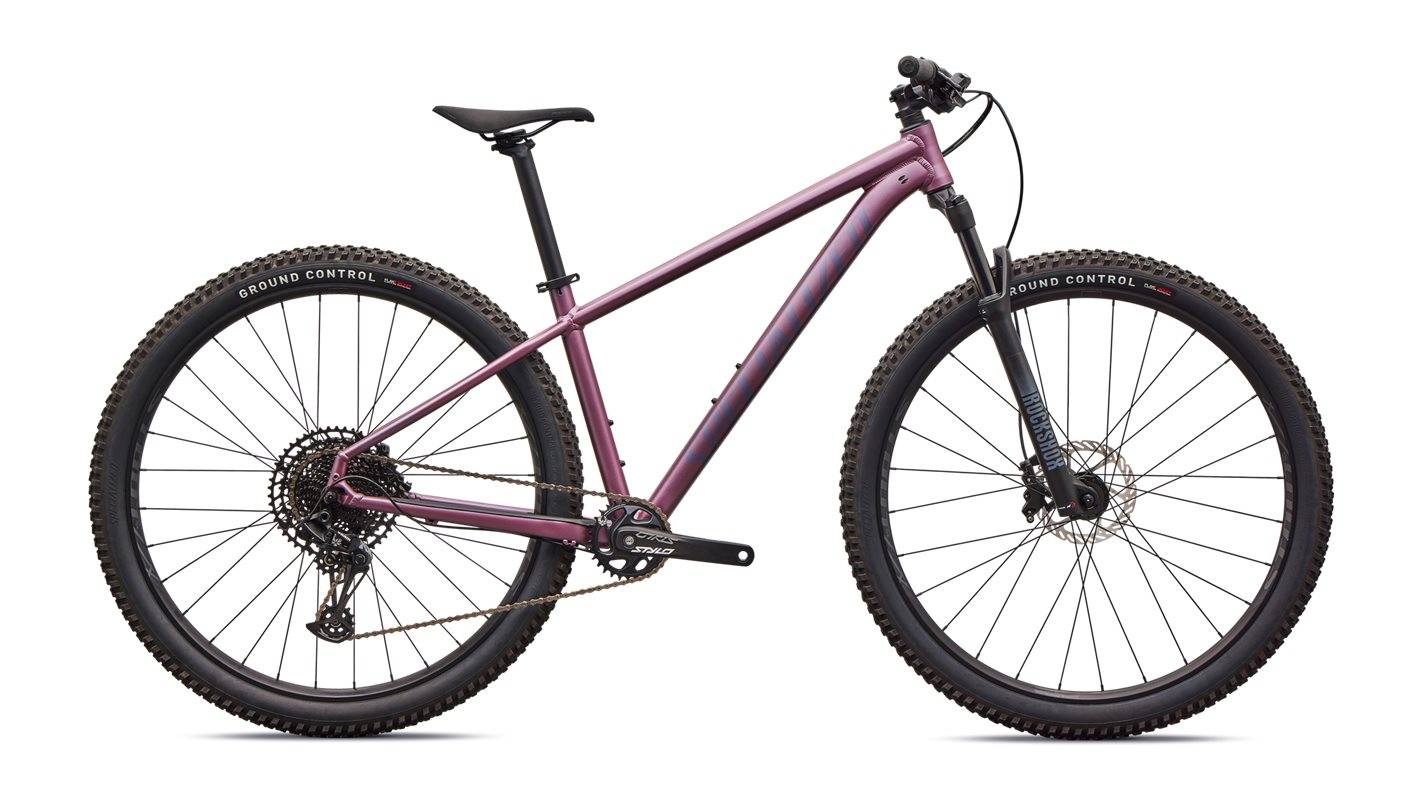 ROCKHOPPER EXPERT 27.5 eller 29 - Satin Quartz Metallic / Mauve Metallic (XL - 29)
