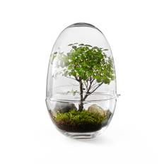 Design House Stockholm - Grow Greenhouse Large - Transparent - Vaser