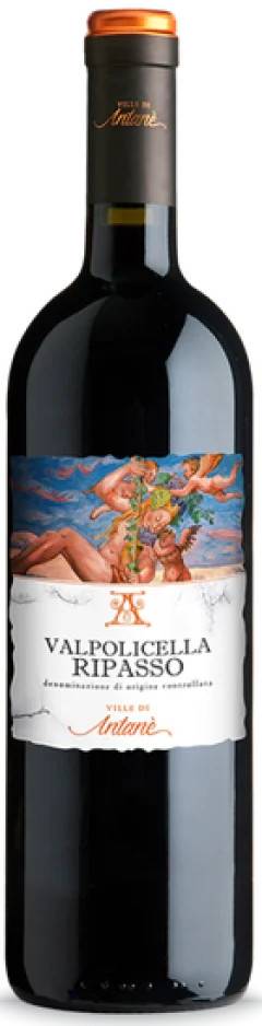 Le Ville di Antanè - Valpolicella Ripasso 2021.