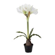 Kunstig amaryllis 50 cm