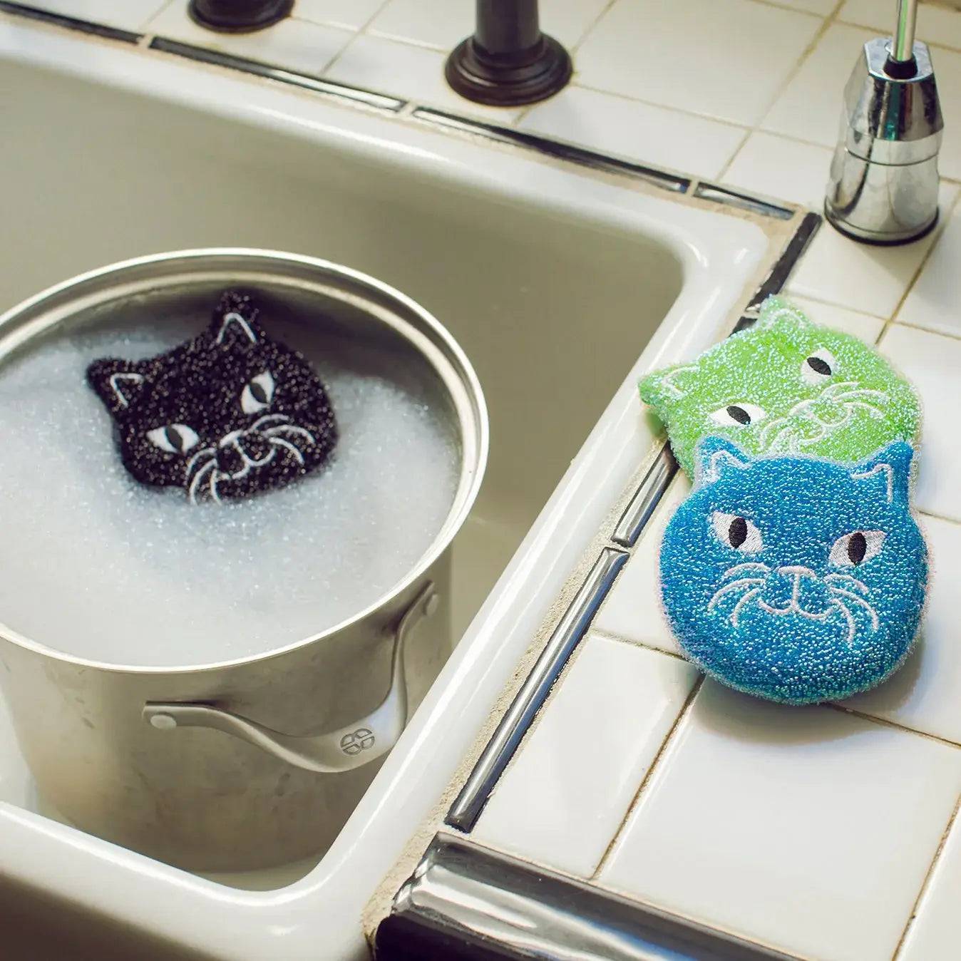 Cat sponges