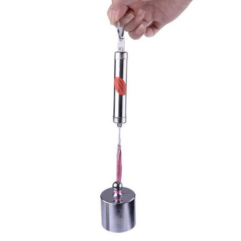 DIDIHOU Bagagevåg 75kg - Silverfärg 5kg