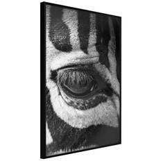 Inramad Poster / Tavla - Zebra Is Watching You - 20x30 Svart ram