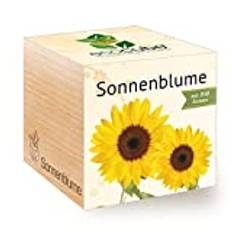 Feel Green 296268 Ecocube Sonnenblume, Bio Zertifiziert, Nachhaltige Geschenkidee (100% Eco Friendly), Grow Your Own/Anzuchtset, Pflanzen Im Holzwürfel, Made in Austria