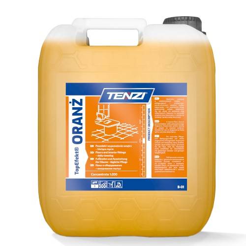 TENZI B01/010 Industrirengöring Innehåll: 10l, Dunk