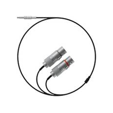 Field Audio Cable 3.5mm to 2 x XLR (socket)