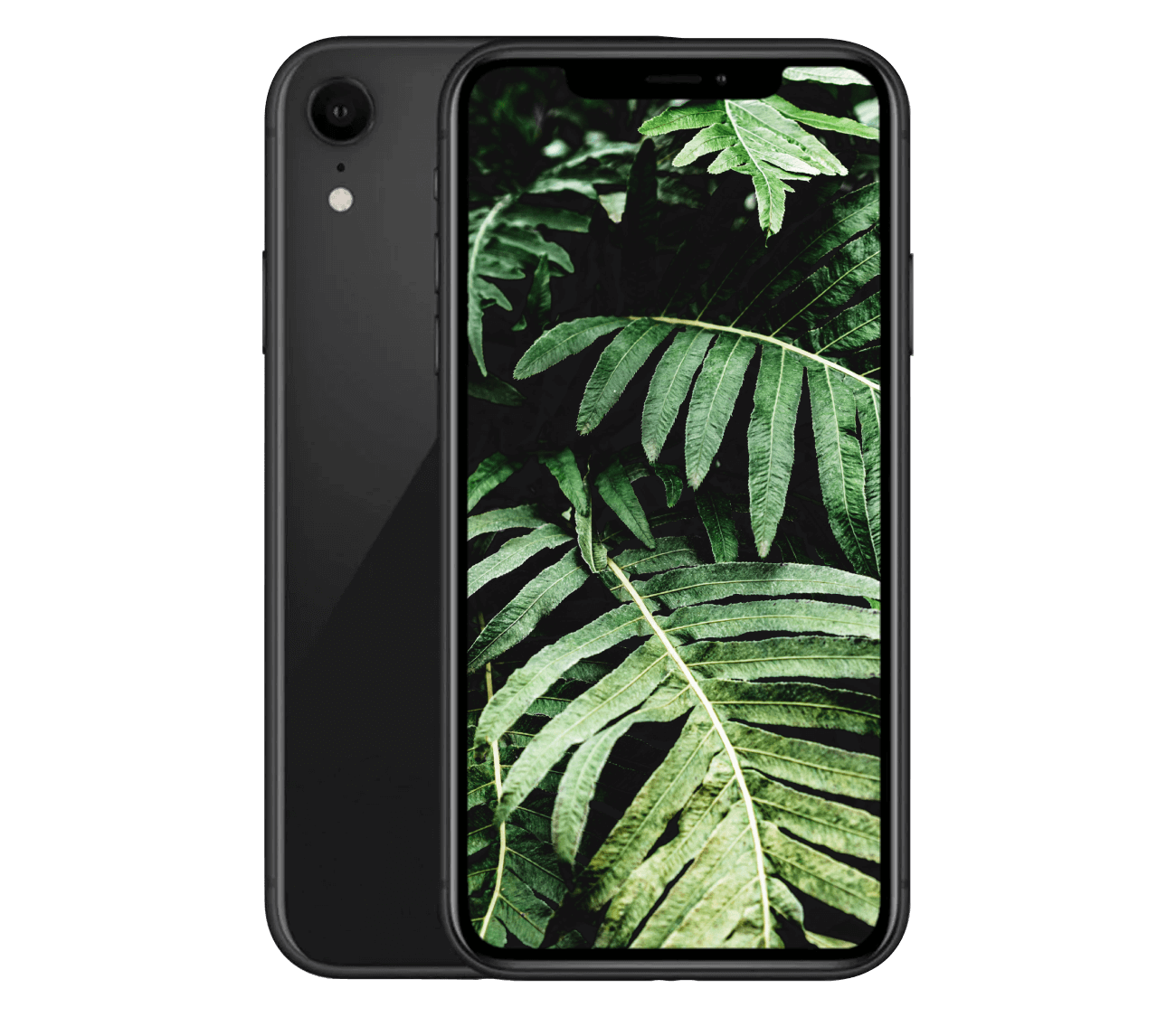 iPhone XR