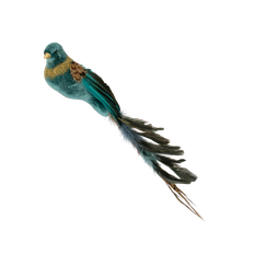 Small Turquoise Bird