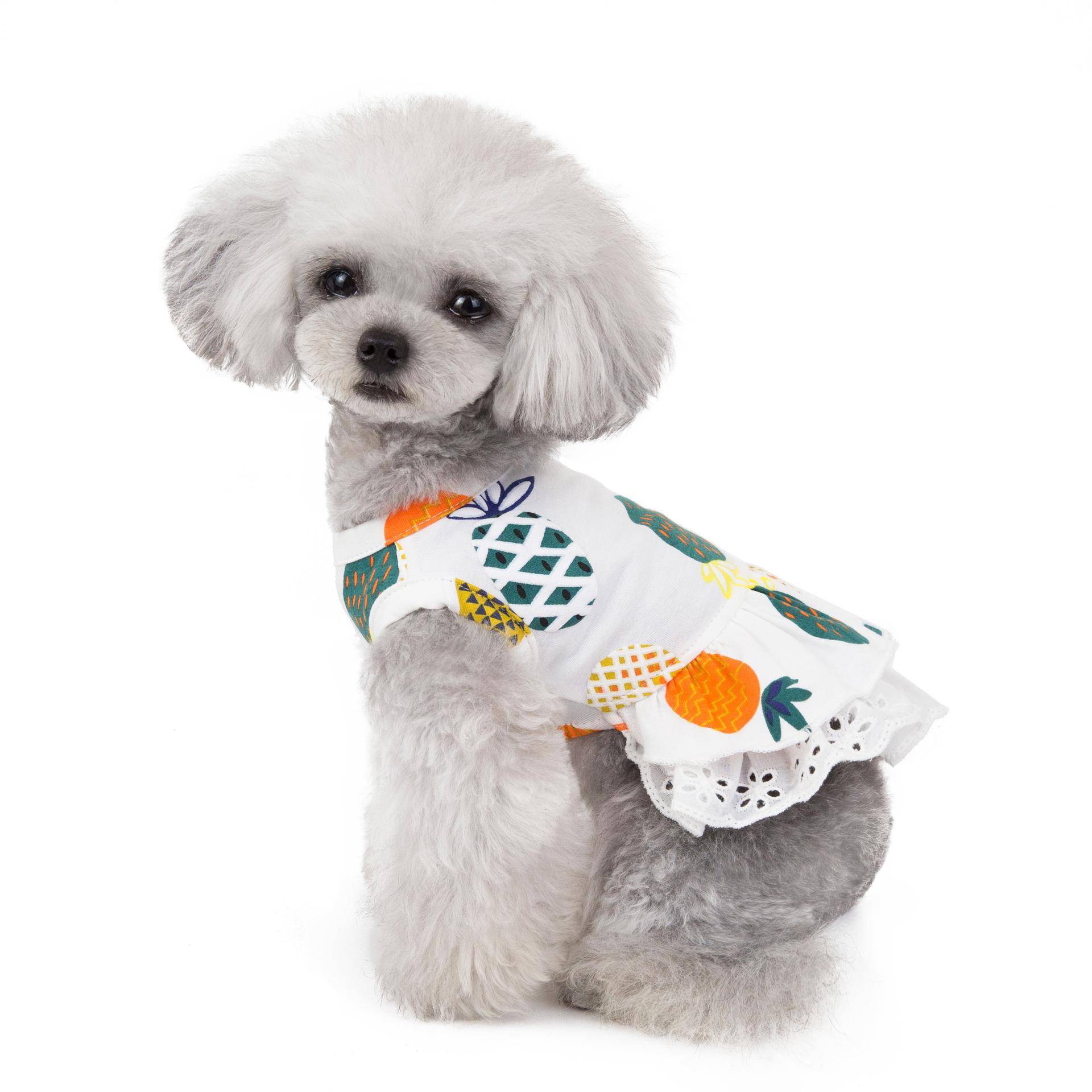 Husdjurskläder husdjur vår/sommar hund en ersättning ananas kjol - 1 / Xl