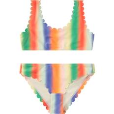 Nolina Rainbow Light