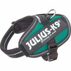 Julius-K9 IDC® Sele - Mørkegrøn (Mini)