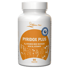 Pyridox Plus 90 tab