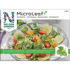 Nelson Garden Micro Leaf valskbønne Mikrogrønt