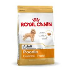 Foder Royal Canin Poodle Adult Vuxen Kyckling 1,5 Kg