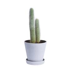 HAY Flowerpot with Saucer - XXL - Grey