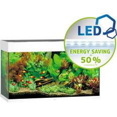 Rio 125 LED.