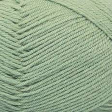 MayFlower 1 Class Cashmere 11 Salvia