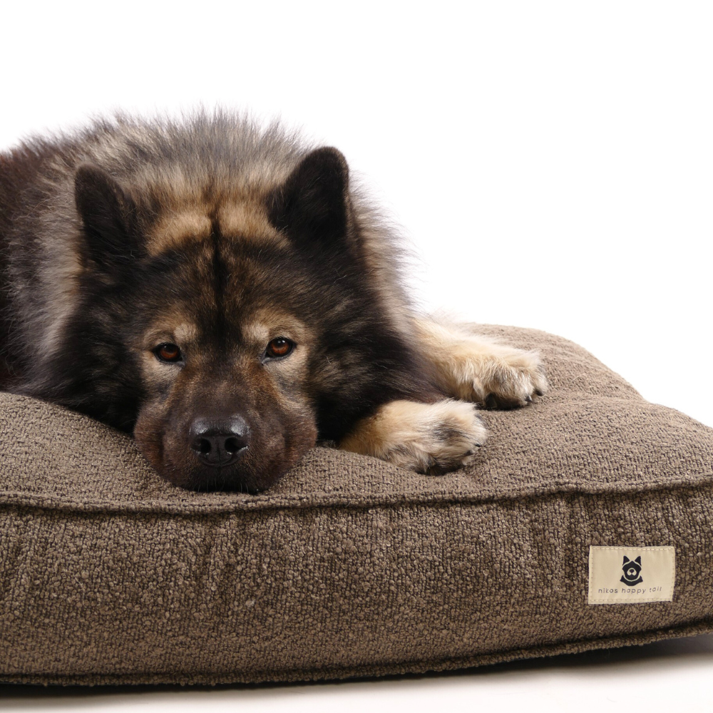 Noah Hundeseng Brown - Large: 90x70x13cm