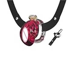 2024 Simulerad Vagina Chastity Cage Sissy Chastity Device Penis Abstinens Anti-fusk Cock Cage med 4 storleksringar(Y1PT-belt)
