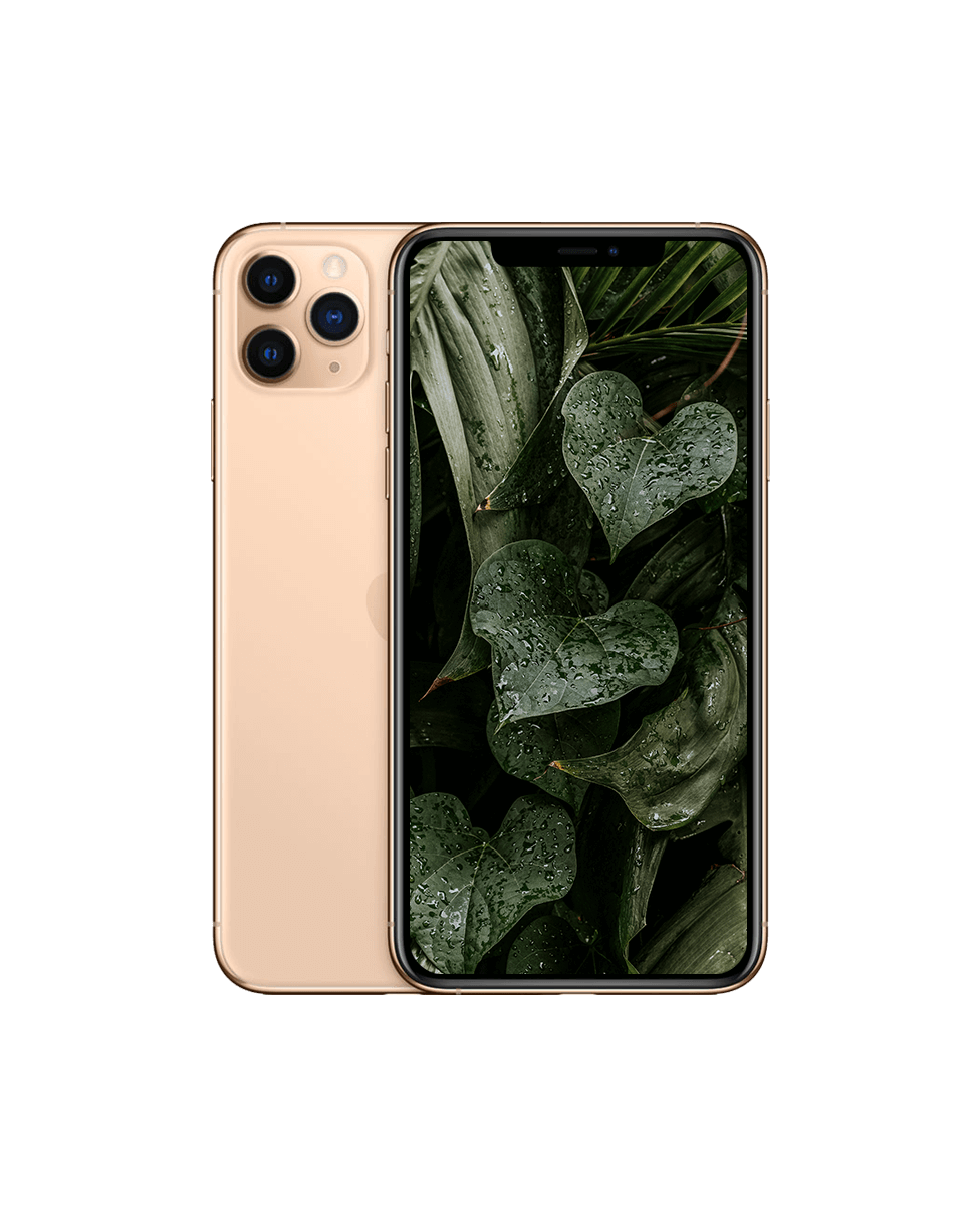 iPhone 11 Pro Max Guld / 64GB / Okej skick