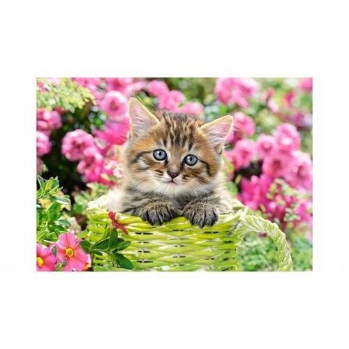 500 bitar - Kitten flower garden