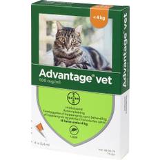 Advantage Vet - Loppemiddel til katte - 4 kg. og derover