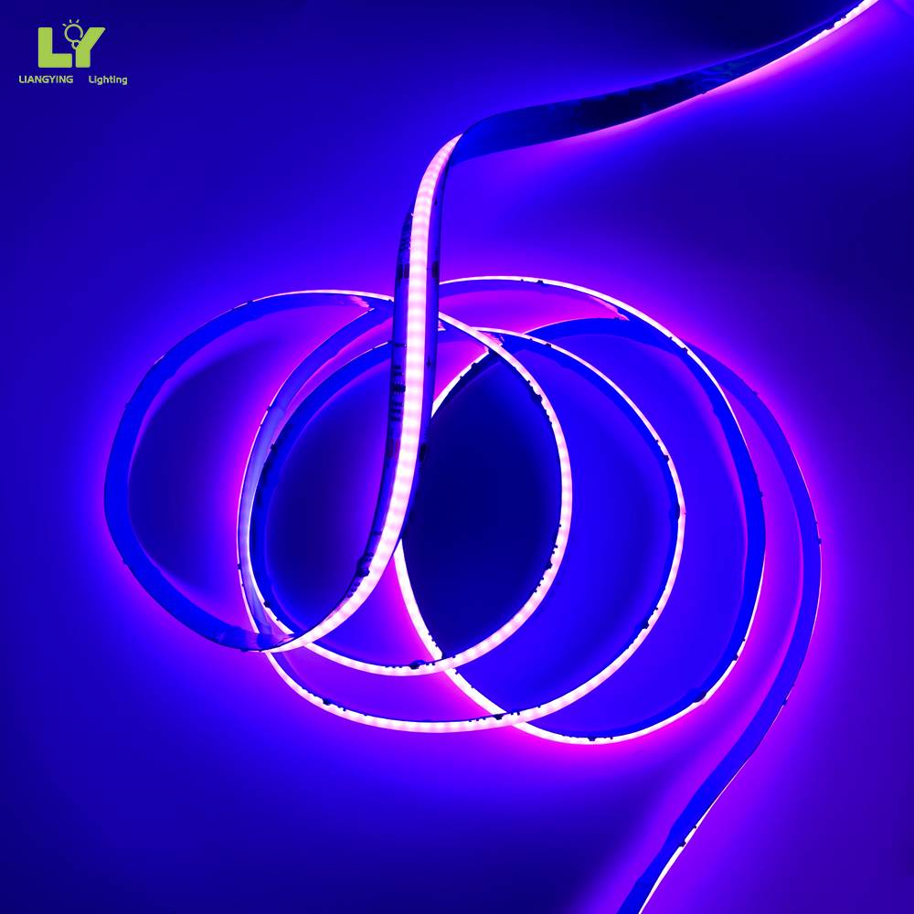 12V IR Control Indoor Decoration 5m 10m Waterproof SMD LED Bluetooth Magic COB LED Strip Lights