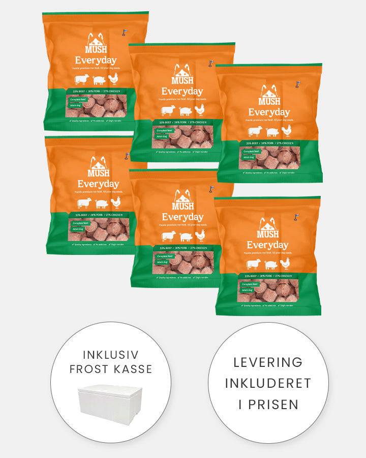 MUSH Everyday Grøn XL - Starter med Gris, Okse og Kylling - 6x3kg