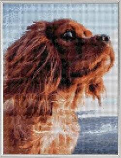 Diamond Painting Hund